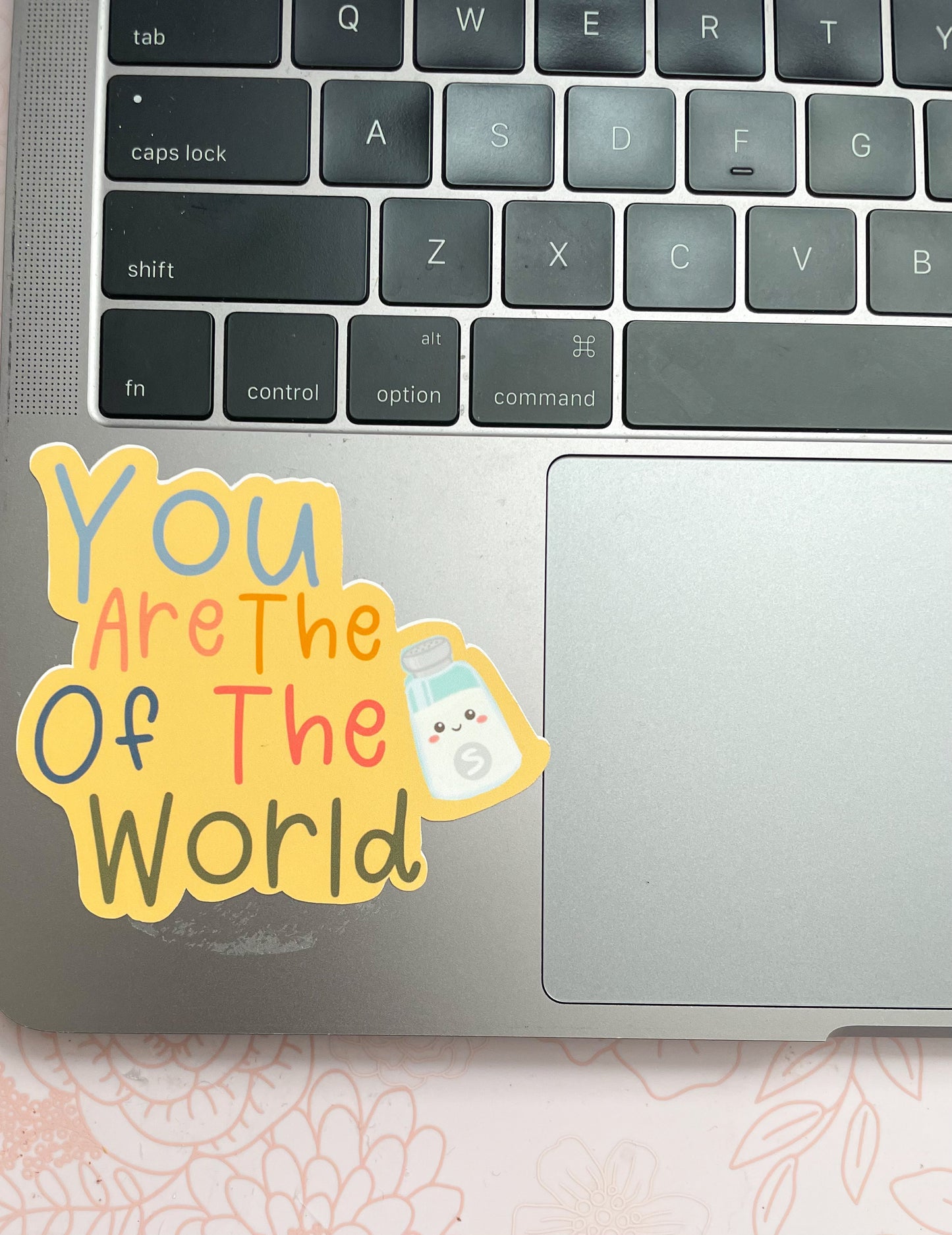 You are the salt of the world sticker
